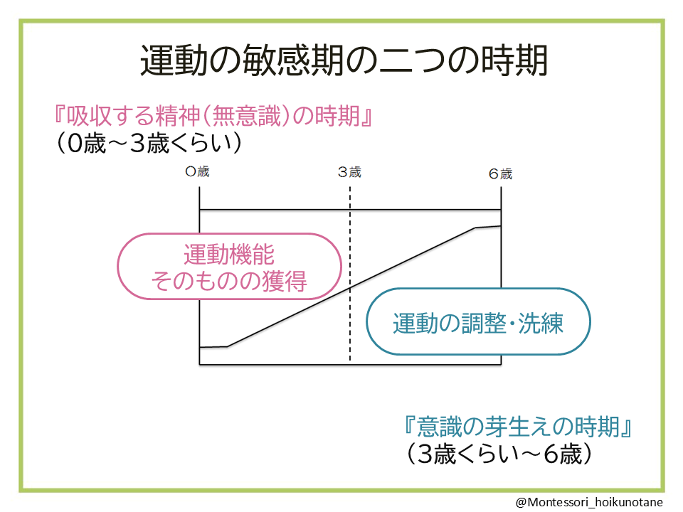 モンテッソーリほいくのたね